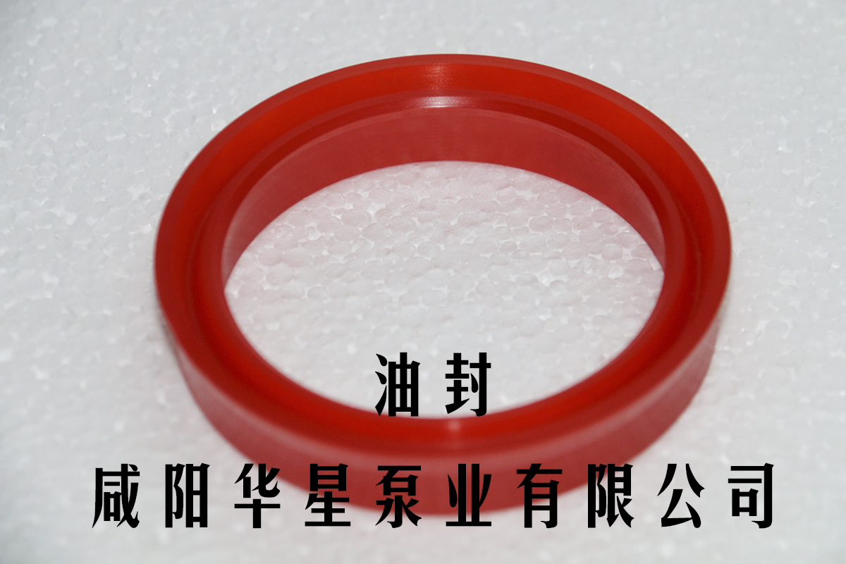 陶瓷(ci)柱塞(sai)泵油(you)封