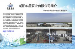 YB節(jie)能型(xing)陶瓷(ci)柱塞(sai)泵