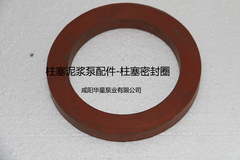 柱(zhu)塞密封(feng)圈