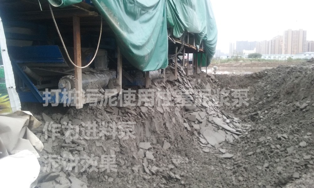 處理(li)後的泥餅(bing)3