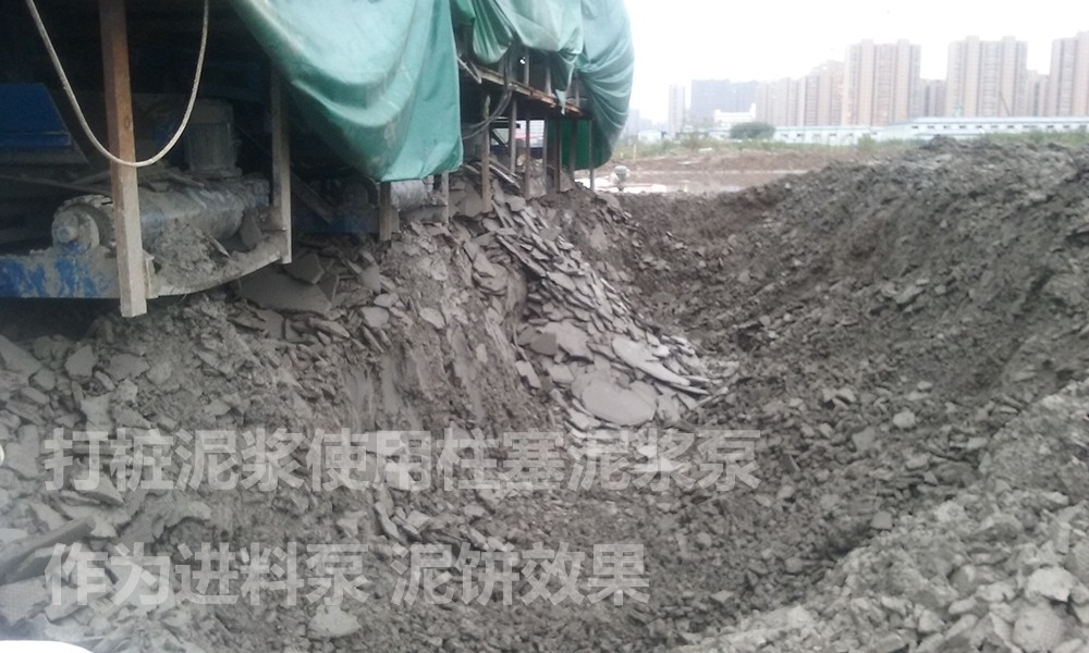 處理(li)後的泥餅(bing)