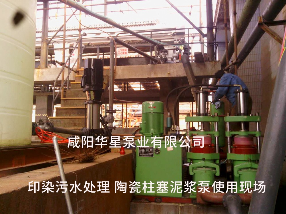 江蘇(su)常熟印(yin)染污泥(ni)處理-水(shui)印