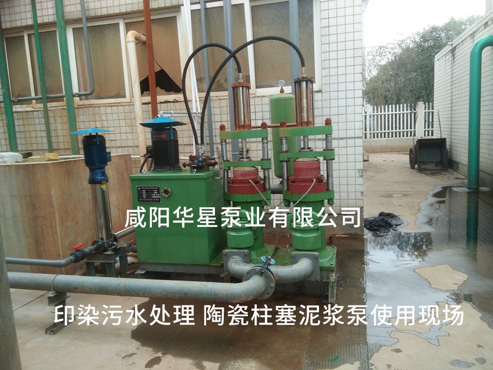 浙江桐(tong)鄉印染(ran)污水處(chu)理-水印(yin)2