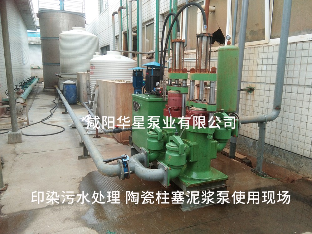 浙江桐(tong)鄉印染(ran)污水處(chu)理-水印(yin)3