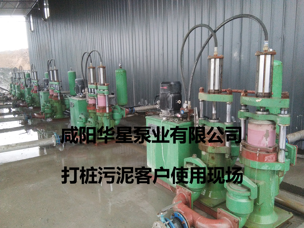 鹹陽(yang)柱塞泥漿(jiang)泵