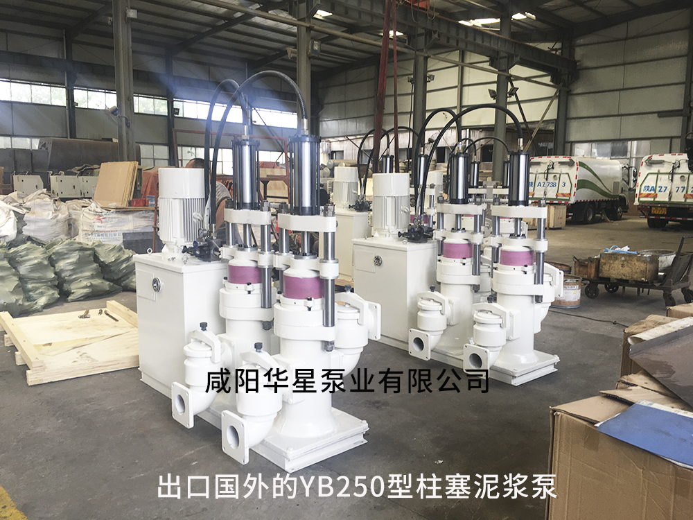 出口國外(wai)的YB250型陶瓷(ci)柱塞泵