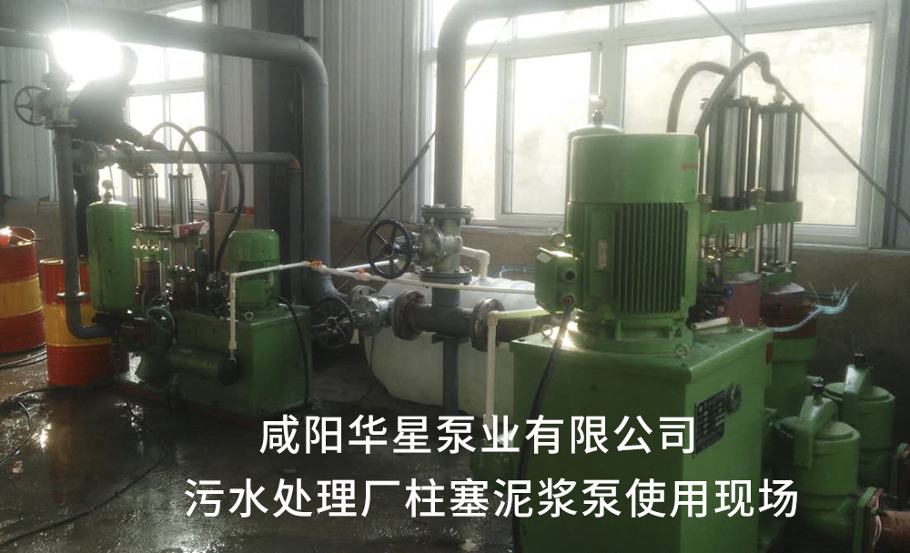 污(wu)水處理(li)廠用陶(tao)瓷柱塞(sai)泥漿泵(beng)