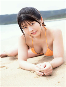 野花视频在线观看免费高清版
